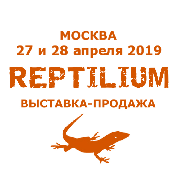 Аватар для Reptilium